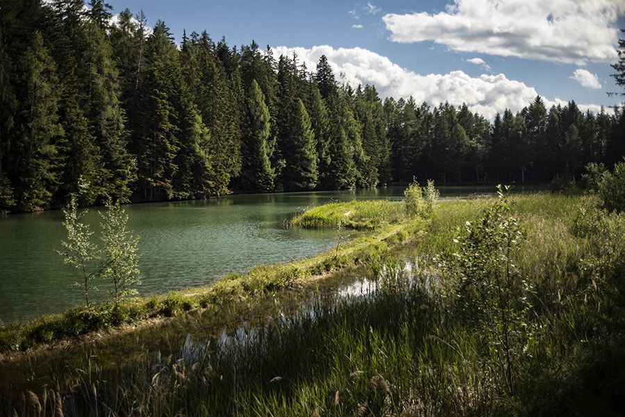 Rutas faciles con niños en Suiza: bisse de Miriouges