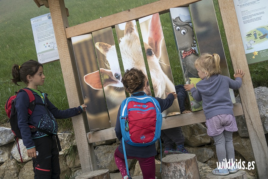 Rutas faciles con niños en Suiza: Geissa Wag