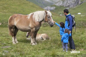 excursion con niños pombie