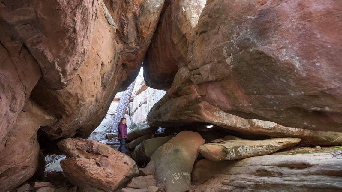 Campamento maqui del rodeno
