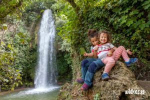 Naturaleza en verano con niños