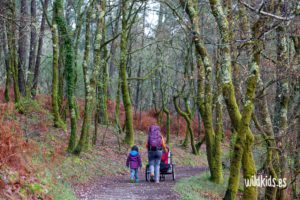 _MG_5604 Camino de Santiago en familia