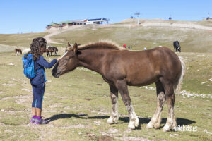 Pirineo catalan con niños