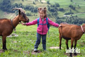 Suiza con niños: Aletsch Arena