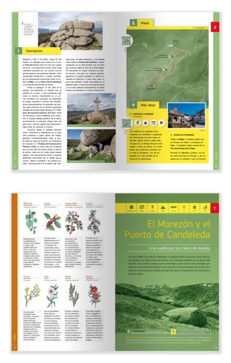 excursiones-rutas_ninos_guadarrama-gredos-b