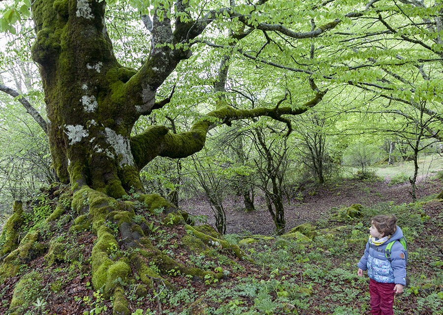 Fuentes de urbasa con niños