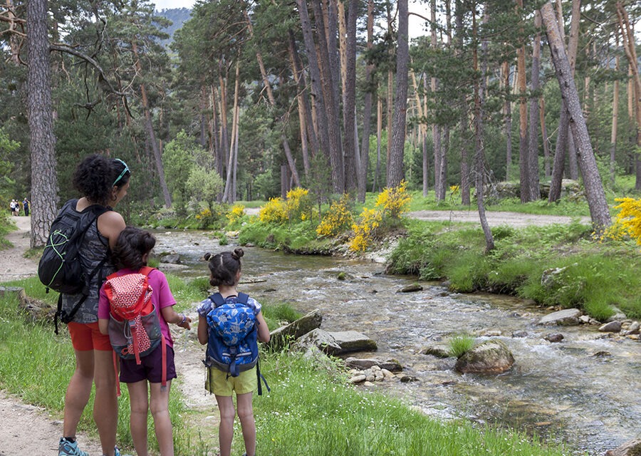 Excursion con niños desde boca del asno