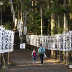 Viajar en familia a Japon