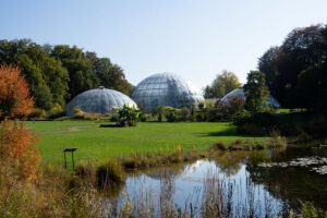 Jardin botanico de Zurich Viajar a Zurich con niños en Suiza: Jardín Botánico