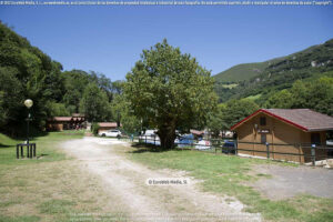 Camping con niños en Picos de Europa