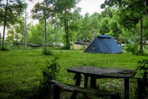 Camping con niños en Picos de Europa