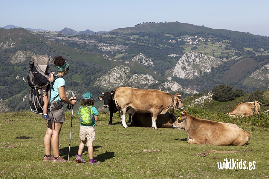 Cruz de Priena con niños (1) Excursión con niños en Picos de Europa a la cruz de Priena