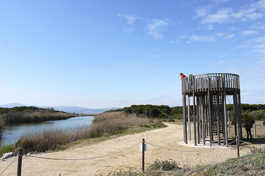 Excursión con niños al delta del Llobregat