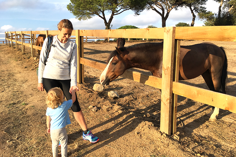 Ermita de Sant Mateu (4)