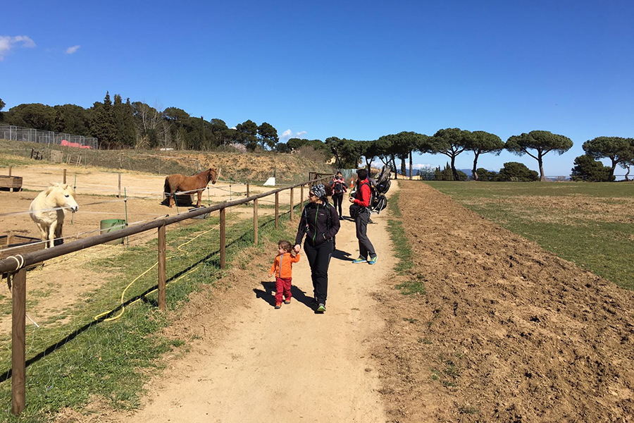Ermita de Sant Mateu (7)