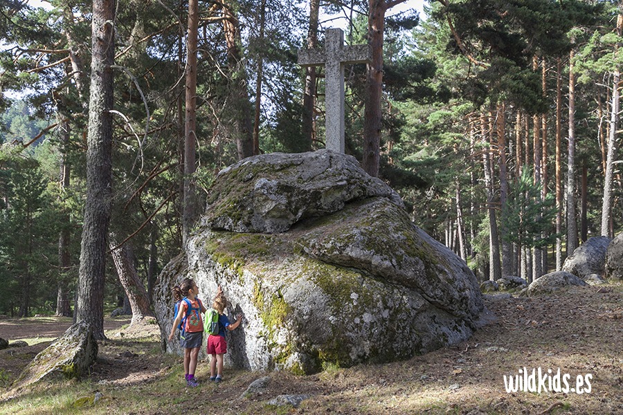 Excursión con niños en Gredos al pinar de Navarredonda