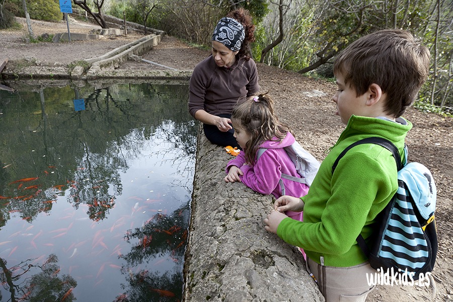 Excursion con niños a la Creu del Cardenal en la Murta