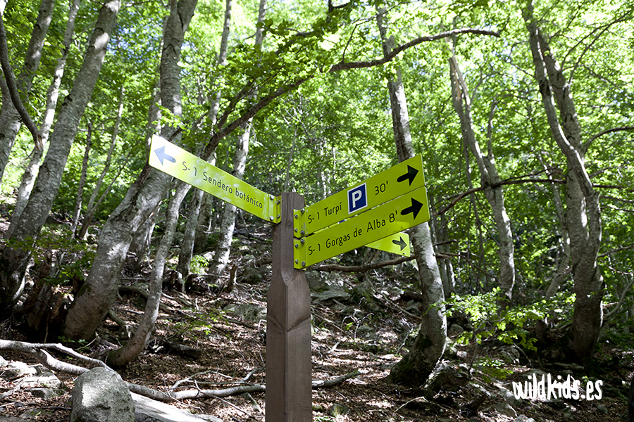Excursion con niños a las gorgas de alba (5) Excursion con niños en Benasque a las gorgas de Alba