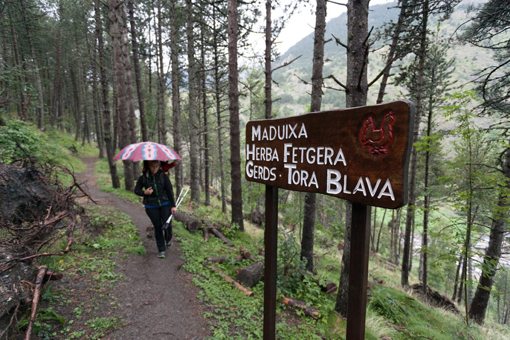 Excursion con niños al Cami del Gall en Andorra