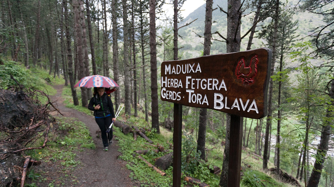 Excursion con niños al Cami del Gall en Andorra