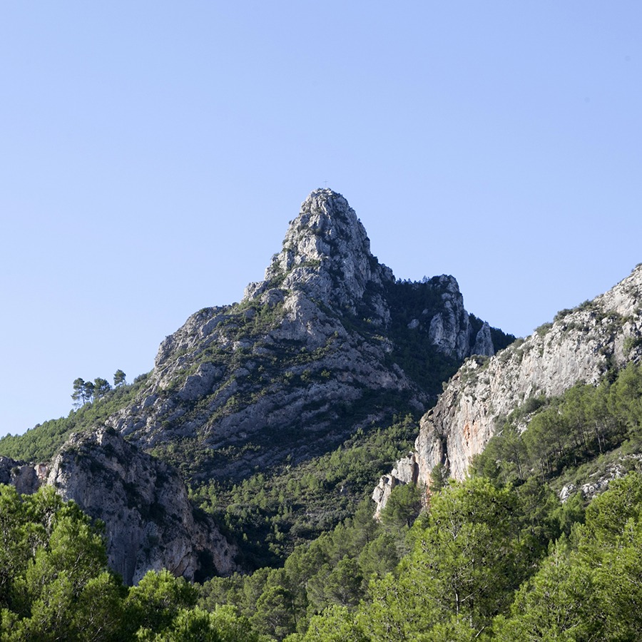 Excursión con niños al Sumidor y el Penyó de Vallada