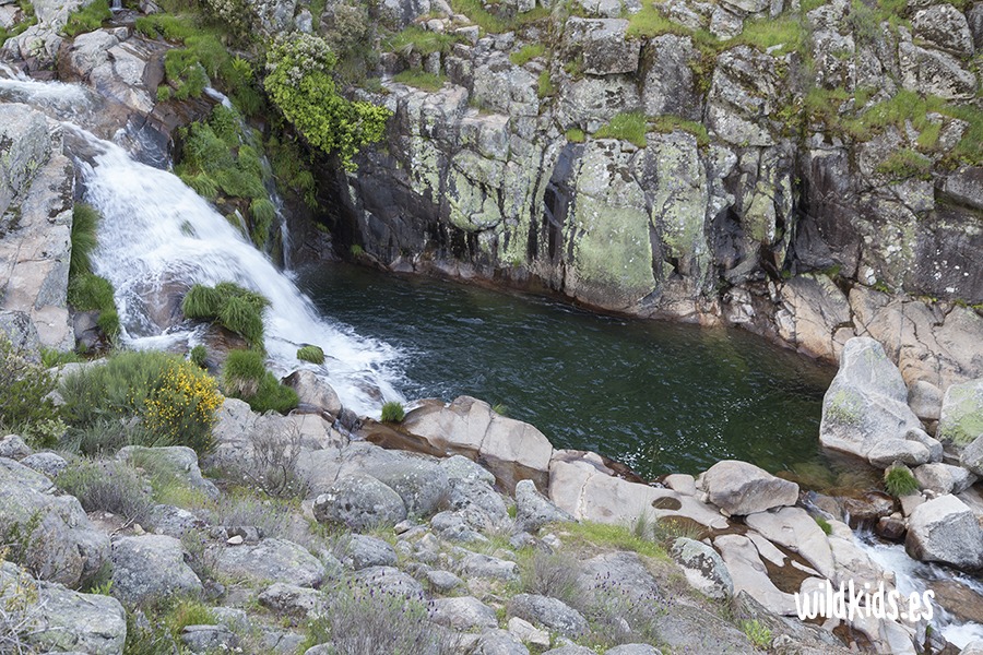 Excursión con niños al charco del Trabuquete