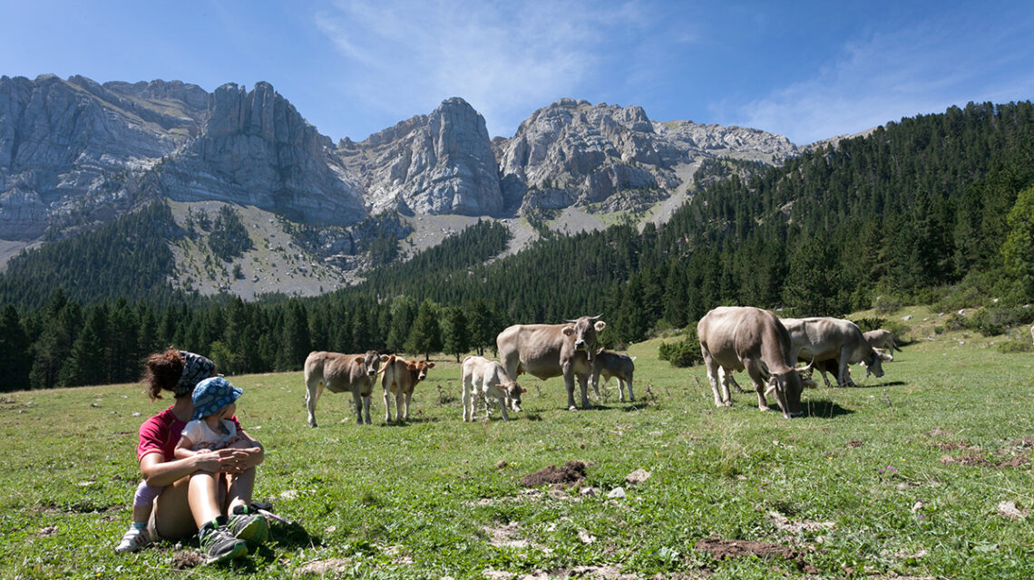 Excursion con niños al Prat de Cadi