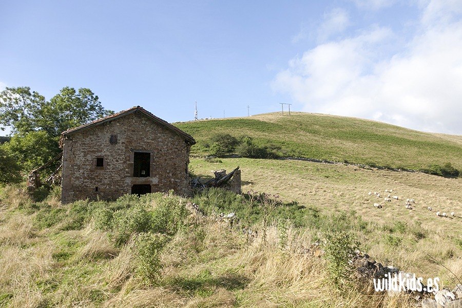 Excursión con niños al puerto de Belate en el Pirineo navarro