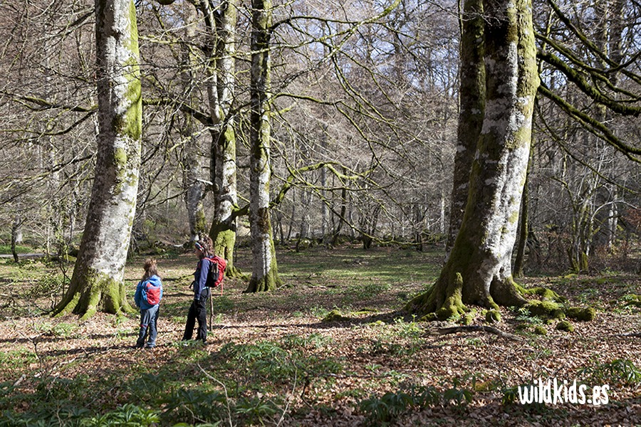 Excursión con niños al monte Azalegi en el Pirineo navarro