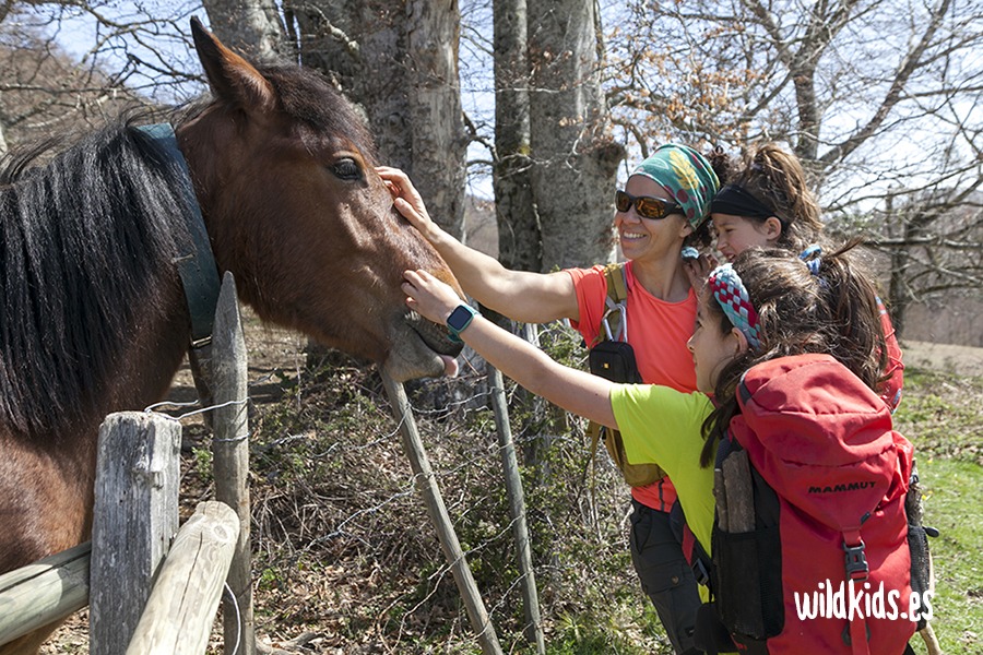 Excursión con niños al monte Azalegi en el Pirineo navarro