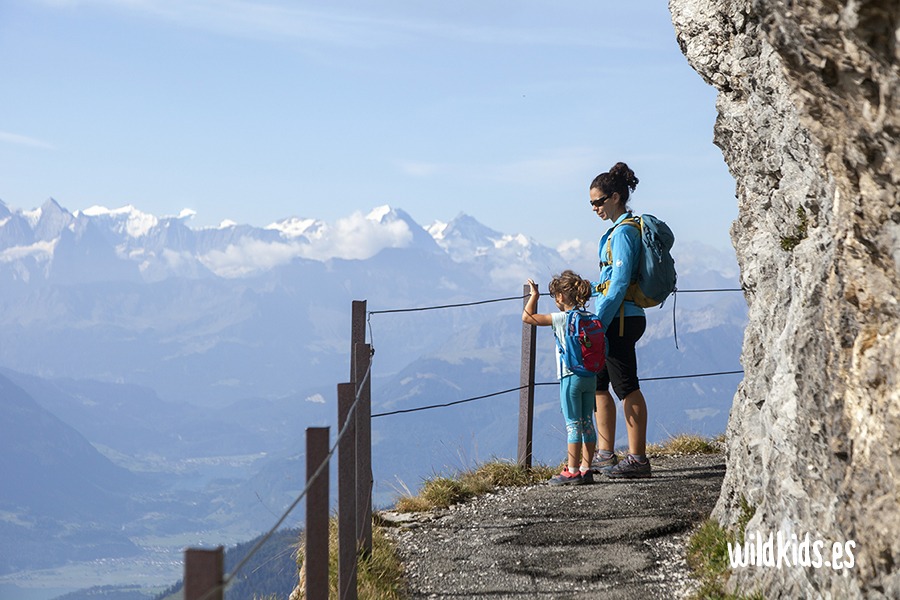 Excursion en Lucerna con niños: Senda de las flores (Blumenpfad) en Monte Pilatus