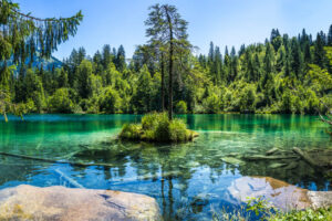 Flims con niños