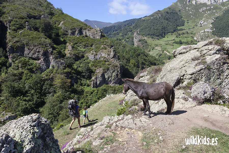 Invernales de Dobres con niños (5) Excursión con niños en Picos de Europa a los invernales de Dobres y Cucayo