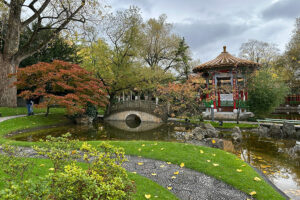 Jardin chino en Zurich Viajar a Zurich con niños en Suiza: Antiguo Jardín Chino