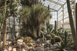 Jardin de Suculentas de Zurcih Viajar a Zurich con niños en Suiza: Antiguo Jardín de Suculentas