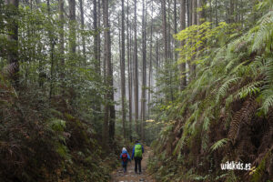 Kumano Kodo en Japón con niños