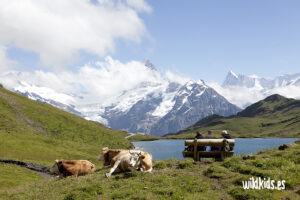 Lagos de montaña en Suiza