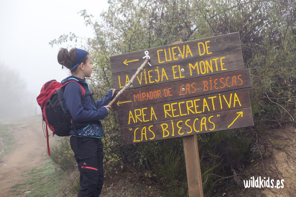 Mirador de las biescas con niños 5 Excursión con niños en Picos de Europa al mirador de las Biescas