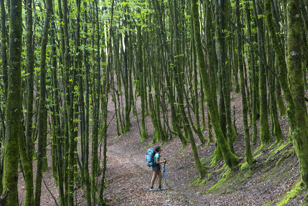 Pirineo navarro con niños