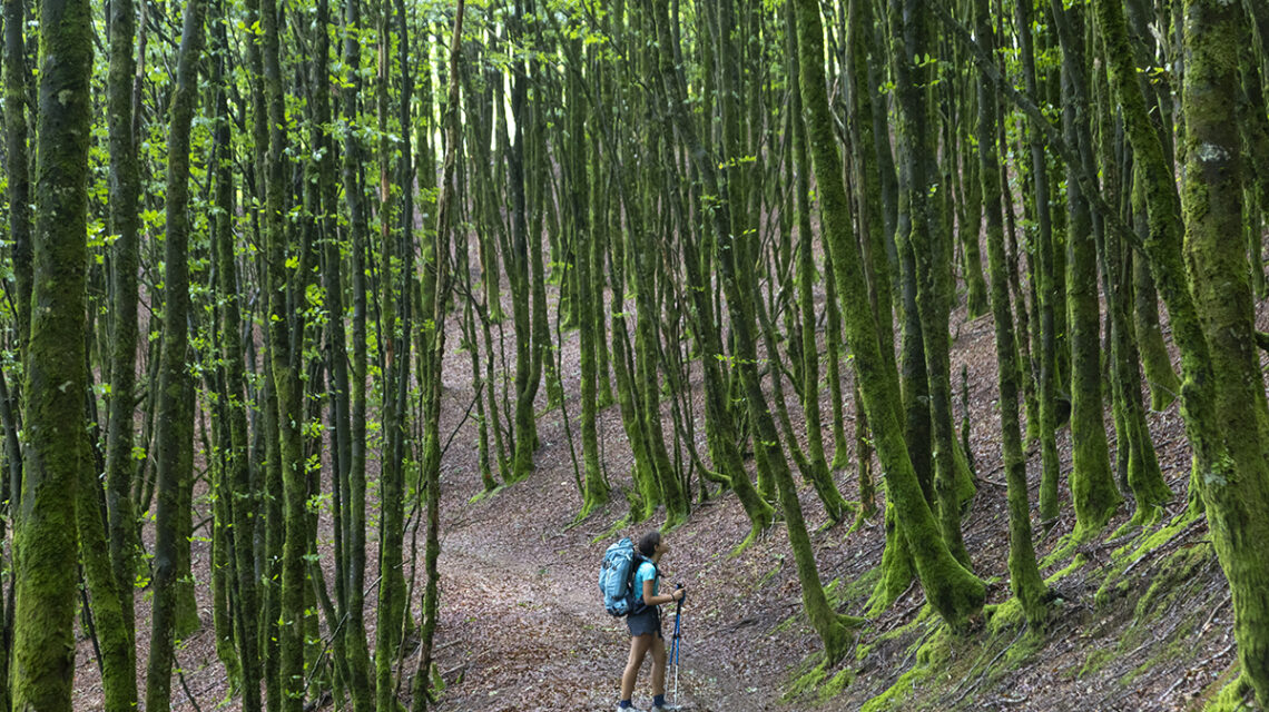 Pirineo navarro con niños