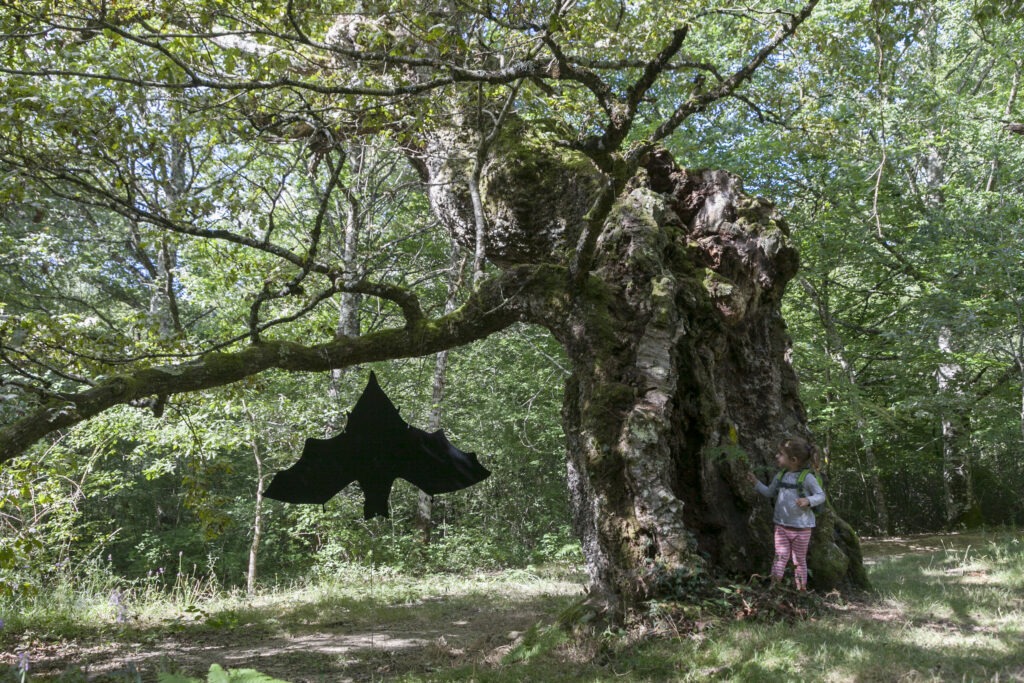 Excursión con niños a los robles milenarios en el Pirineo navarro