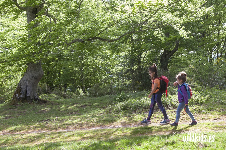 Excursión con niños al mirador de Zamariain en el Pirineo navarro