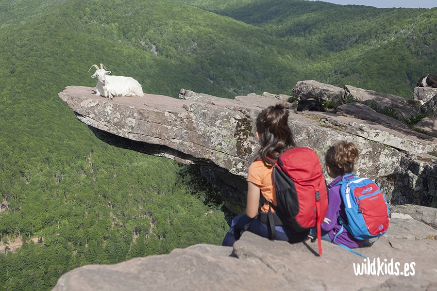 Excursión con niños al mirador de Zamariain en el Pirineo navarro
