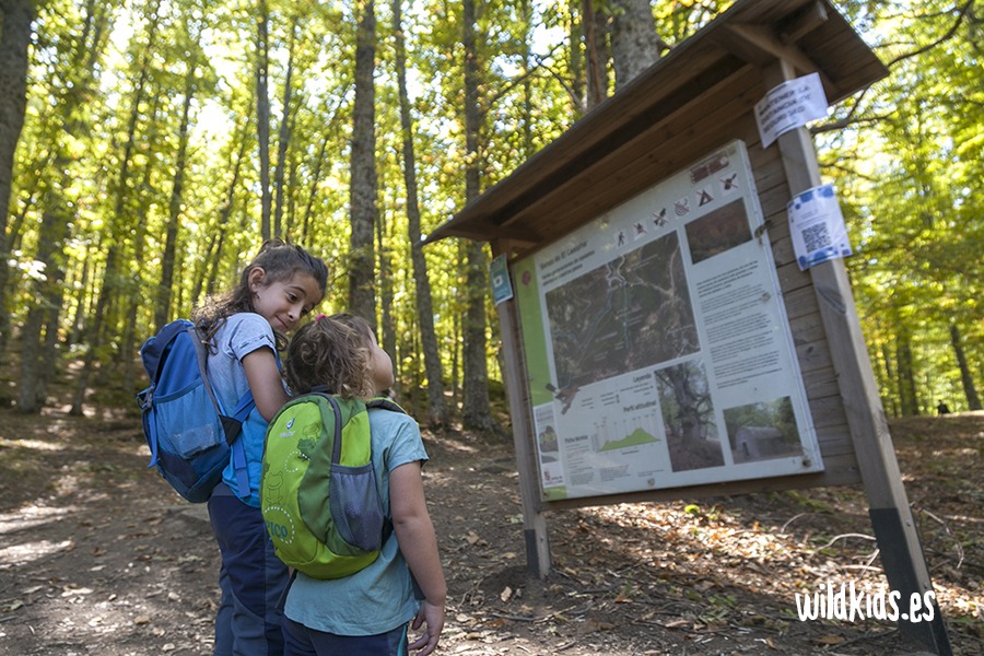 Excursión con niños en Gredos por el castañar de El Tiemblo