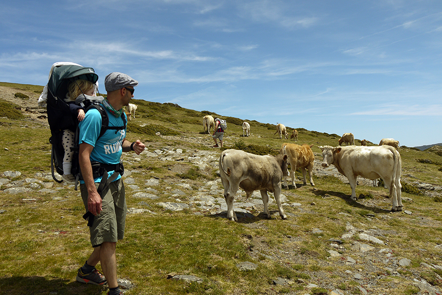 Rutas con niños cerca de Barcelona - Turo de Matagalls (7) Excursión con niños al Turo de Matagalls