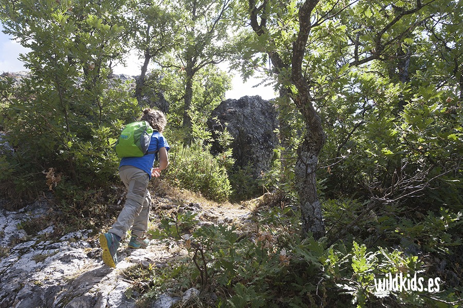 Senda del gigante con niños (4) Excursión con niños en Picos de Europa a la senda del Gigante