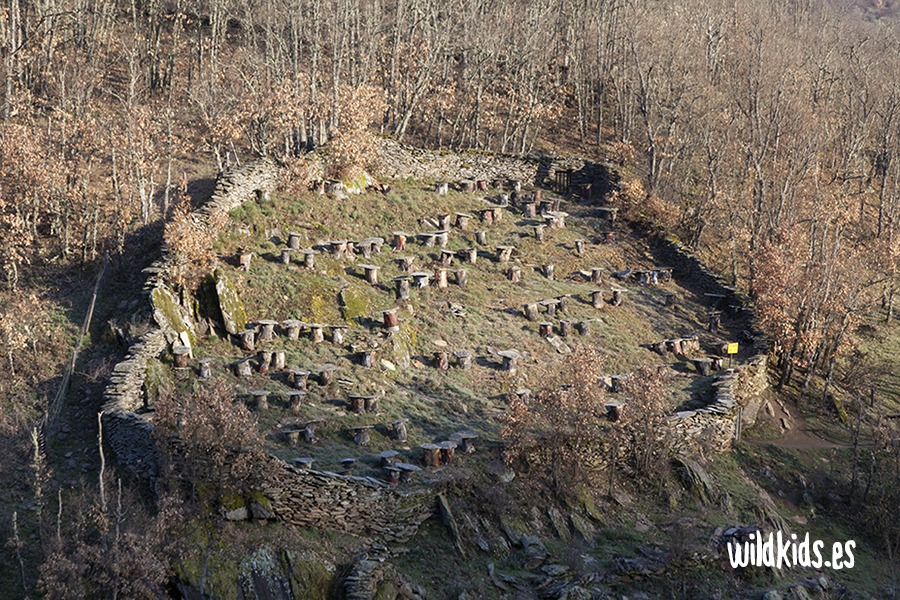 Sendas de la hiruela con niños (3) Excursión con niños por las sendas de la Hiruela