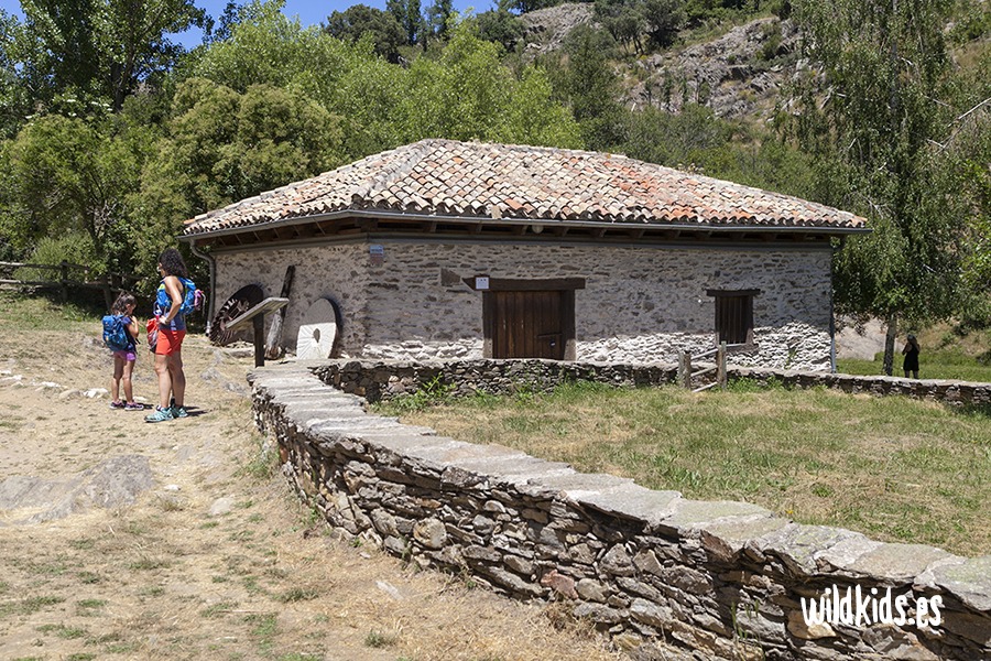 Sendas de la hiruela con niños (4) Excursión con niños por las sendas de la Hiruela