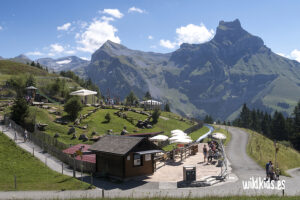 Toboganes alpinos en Suiza: Brunni