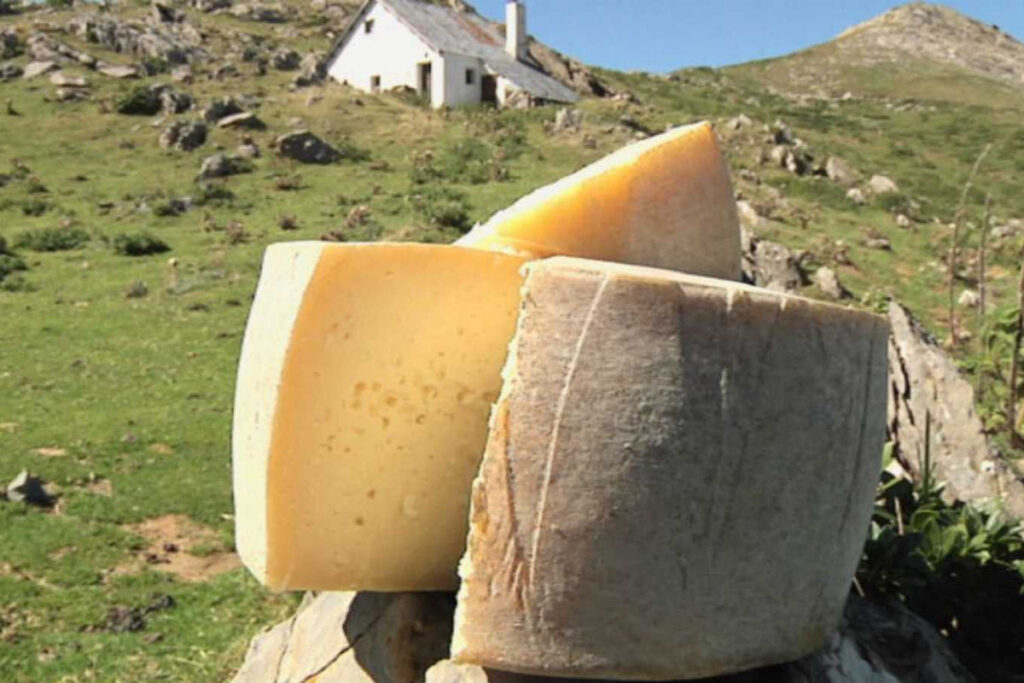 Valle de Roncal con niños - museo del queso Valle de Roncal con niños